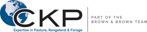 CKP Insurance