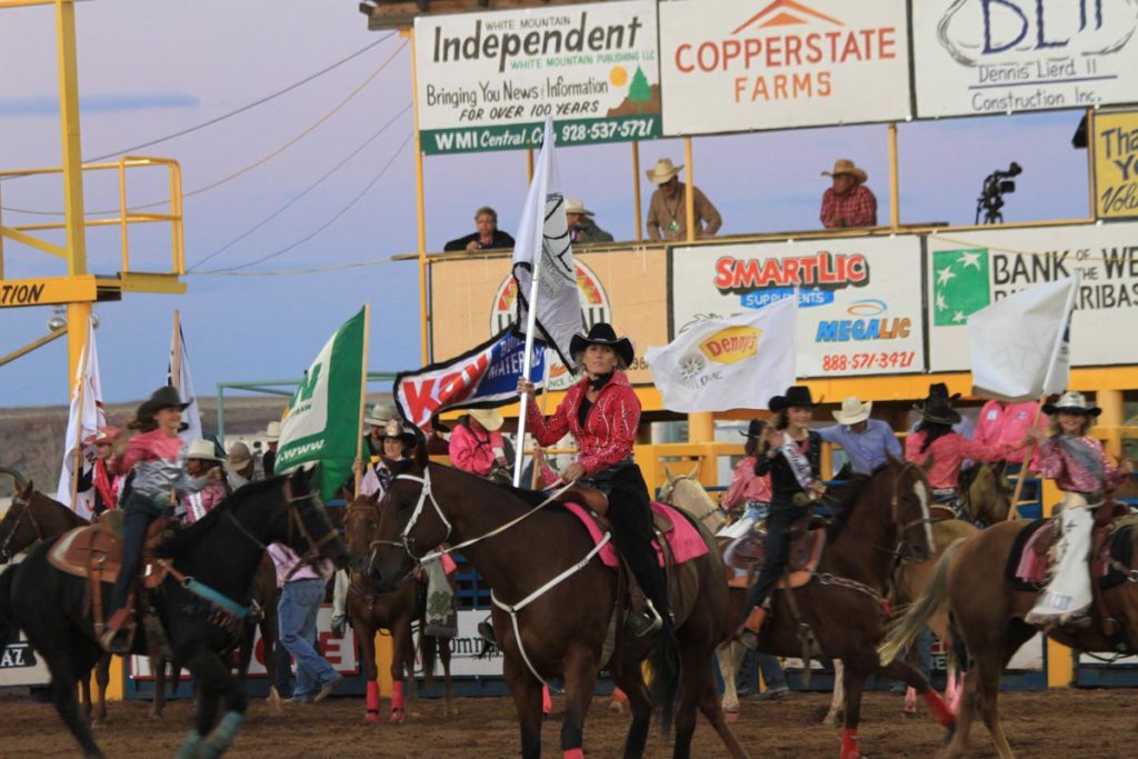 Navajo County Fair