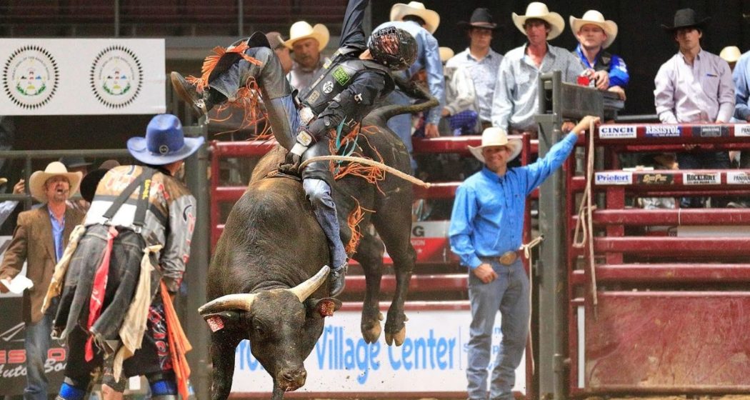 The Navajo Nation Queen Creek PBR