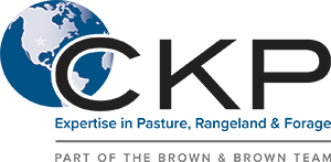 CKP Insurance
