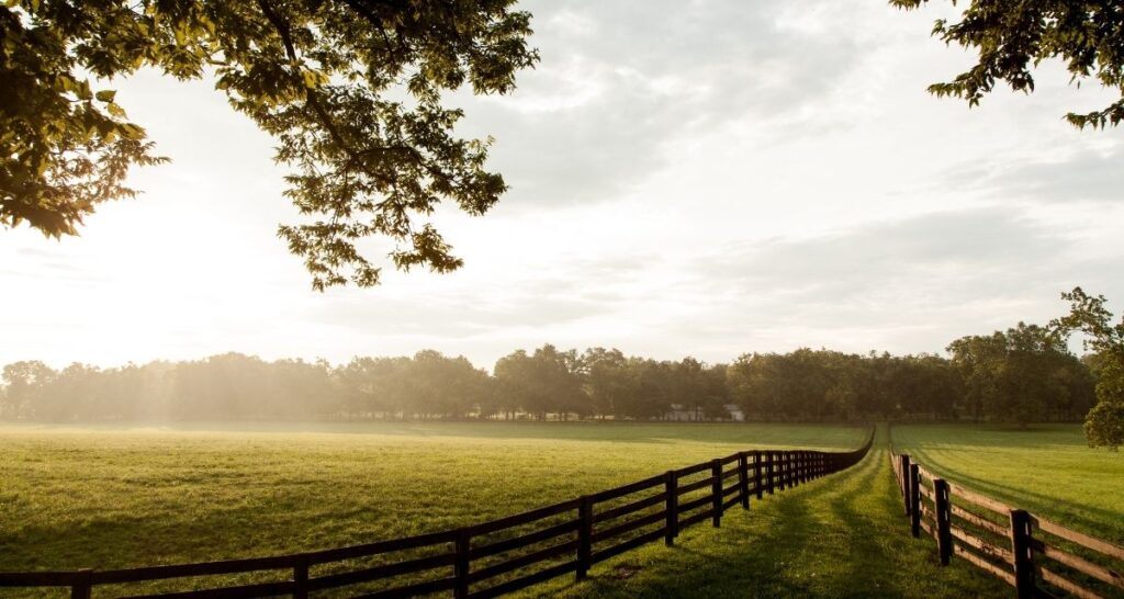 Farming Landscape at Sunrise