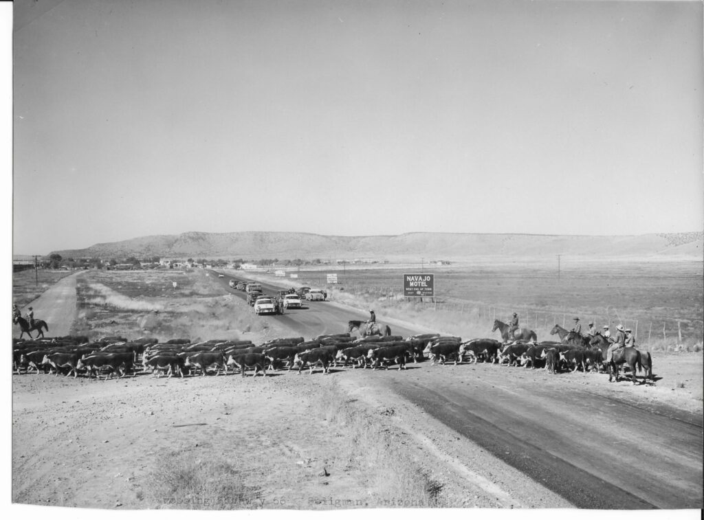 Diamond A Ranch at Navajo Hotel