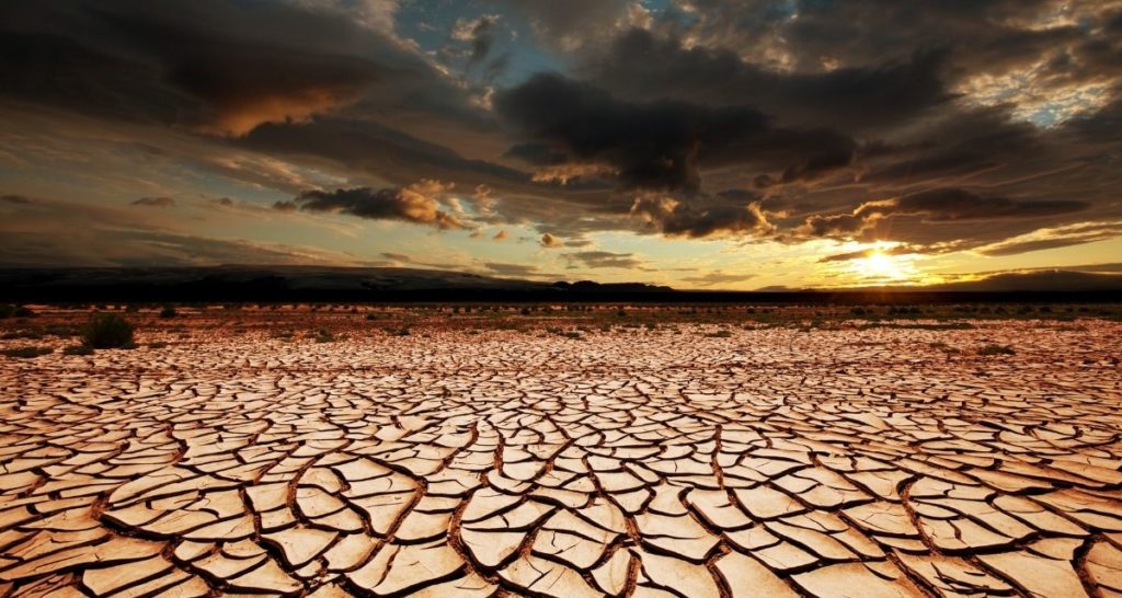Photograph of sever drought