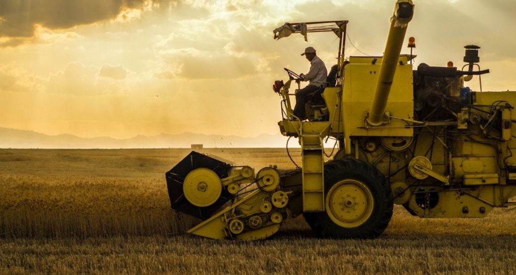 Farmer working his land