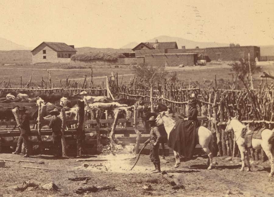 Cowboys working the Empire Ranch early 1900's