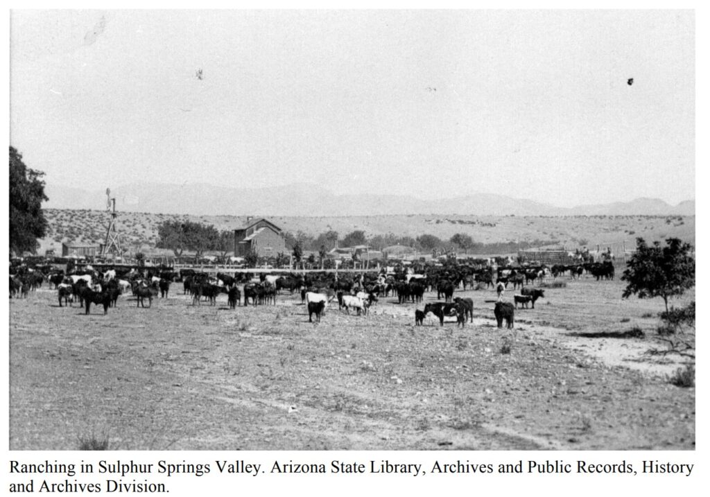 Ranching in Sulphur Springs Valley