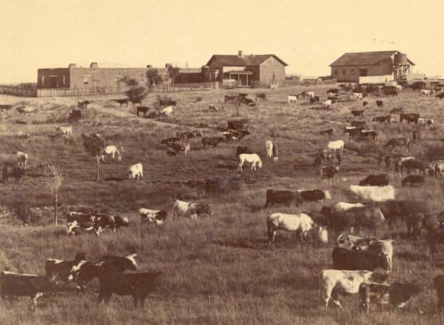 View of the Empire Ranch Headquarters  from the West 1880's