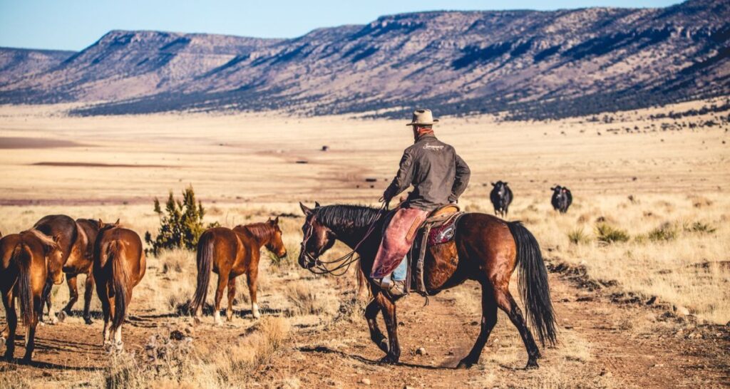 Save the Date for the Legacy Ranch Horse Sale in Prescott, Arizona!