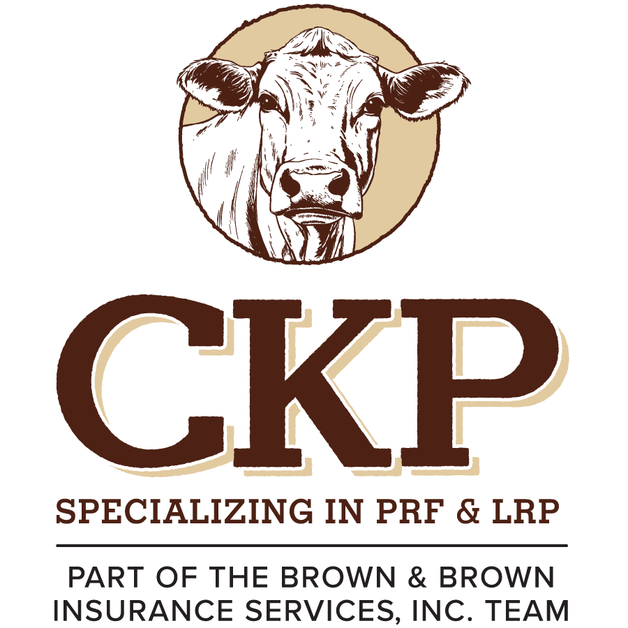 CKP Insurance